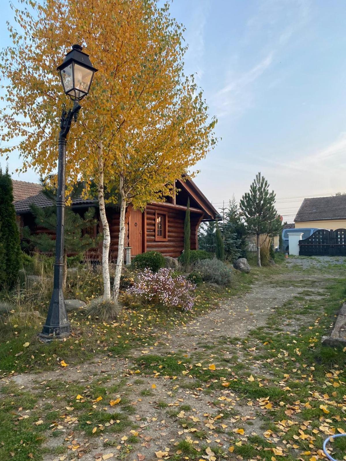 Cabana Vadim Villa Turda Luaran gambar